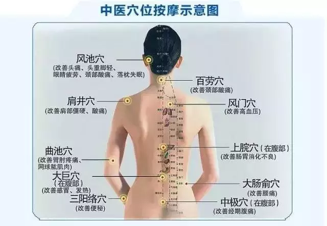 17個經絡療法,調節人體陰陽平衡