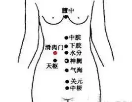 17個經絡療法,調節人體陰陽平衡