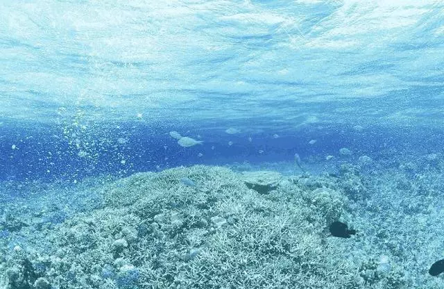 如果海洋中的水全是淡水會怎樣?科學家:準備好迎接世界末日吧