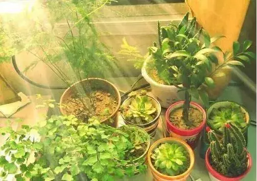 十大健康生活方式!(建議永久堅持)