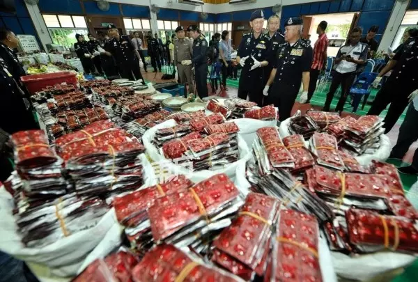 破史上最大宗毒品生產工廠 警起獲價值7250萬毒品 -