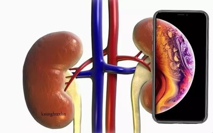 史上最貴!一支iPhone XS Max可以用來買什麼? 網友看完全哭了…先賣腎去