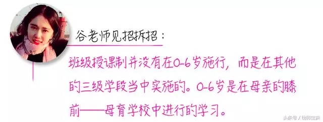 《幼師資格證》考前突擊必備|保教重要知識點精解(上篇)
