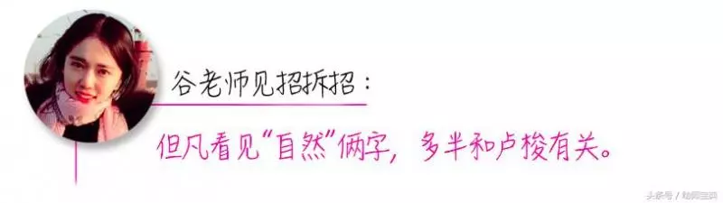 《幼師資格證》考前突擊必備|保教重要知識點精解(上篇)