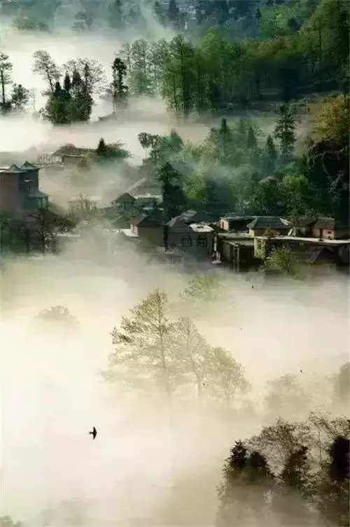 改變人生的不是大道理,而是小習慣