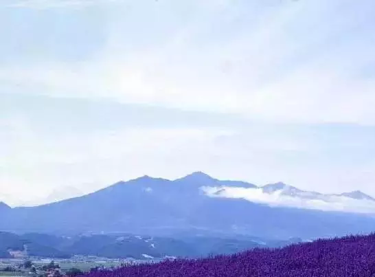 每天堅持10件事,運氣自然上門來