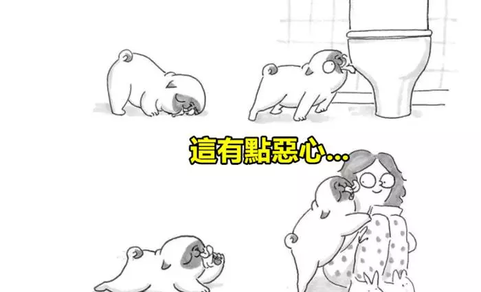 21張「只有狗奴們才看得懂」的超爆笑日常生活情況!