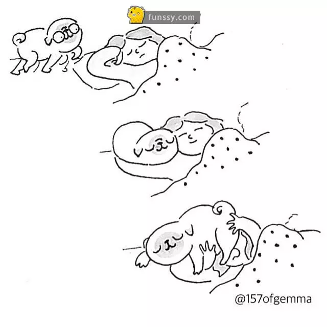 21張「只有狗奴們才看得懂」的超爆笑日常生活情況!