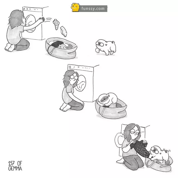 21張「只有狗奴們才看得懂」的超爆笑日常生活情況!