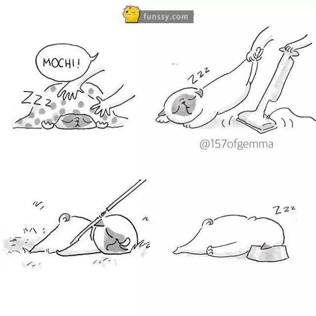 21張「只有狗奴們才看得懂」的超爆笑日常生活情況!