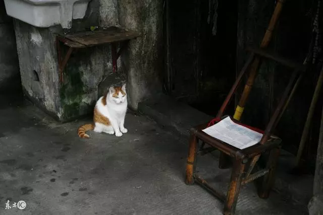 街邊老太昏迷,救了之後發現父母竟是因她而死,他卻養老太一輩子