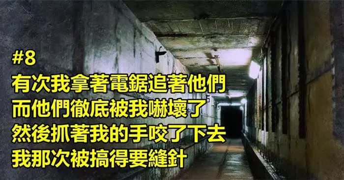 鬼屋的工作人員分享了他們「在工作時經歷過的血淚心酸」,看了後才明白這份工真的一點都不簡單啊!