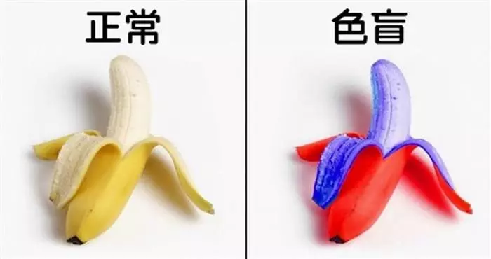 12張圖讓大家徹底理解「普通人VS色盲」的世界,他們眼中的彩虹超特別的