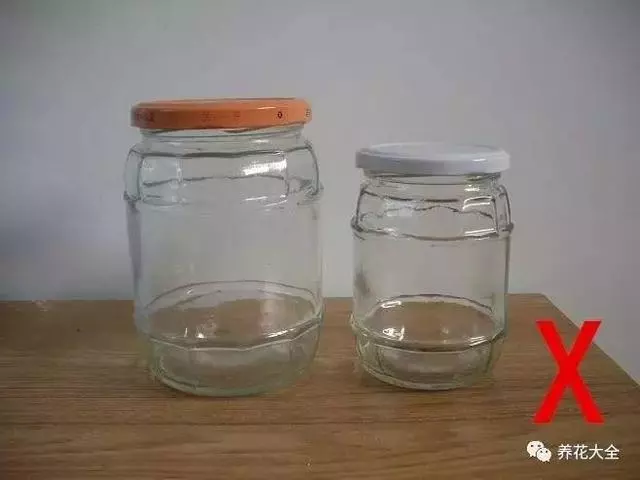 水果皮做酵素來養花無需施肥花草漂亮不生蟲