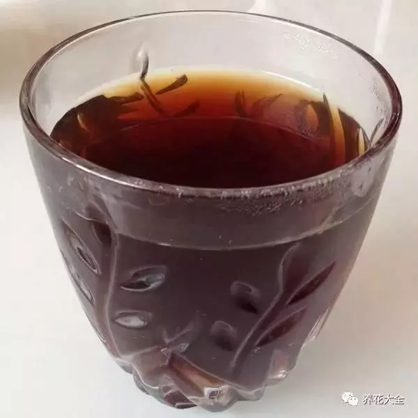 水果皮做酵素來養花無需施肥花草漂亮不生蟲