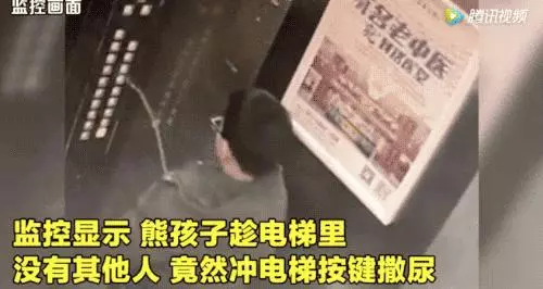 「我就想看看她會不會流產」,熊孩子和殺人犯之間,隔著家長而已