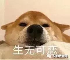 孩子上幼兒園最好的狀態是,哭著哭著就適應了……