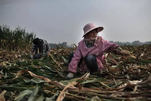 為給打工丈夫驚喜,去工地看他,他卻與別人搭夥過上了