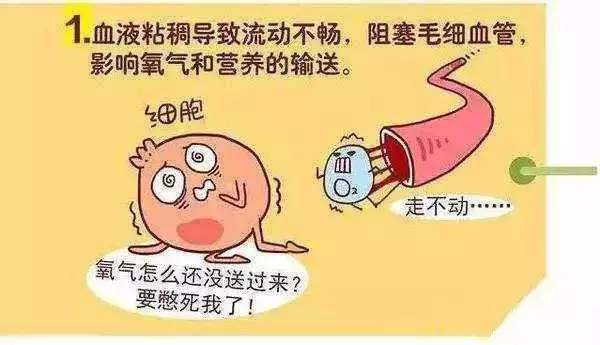 血液黏稠對人體的危害大,學會6招飲食調理,血液不再黏稠!