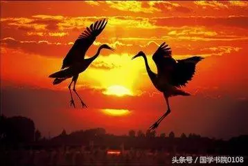 十個故事、十個點撥、十個感悟足夠改變你一生!一定多看幾遍