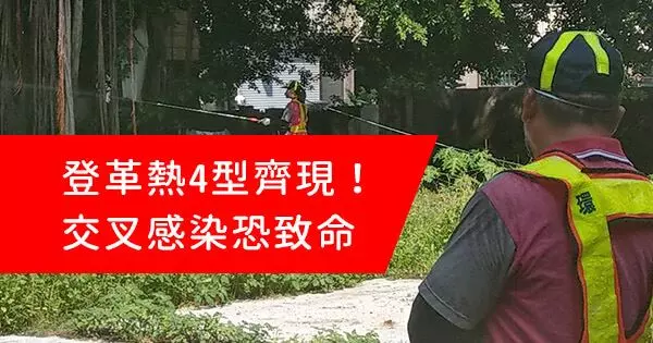 登革熱4型齊現!交叉感染恐致命