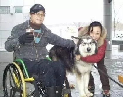 一隻阿拉斯加安樂死的前兩個小時,遇到了電影一般的劇情反轉