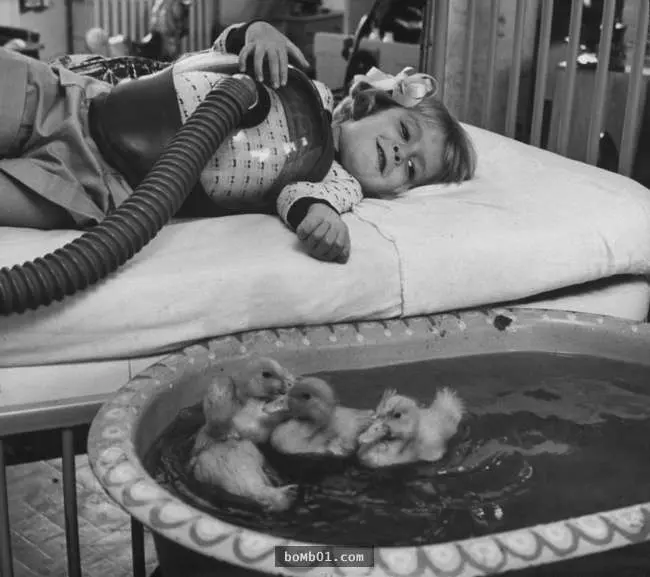 30張讓大家能夠「看一圖就了解許多歷史」的珍貴老照片。