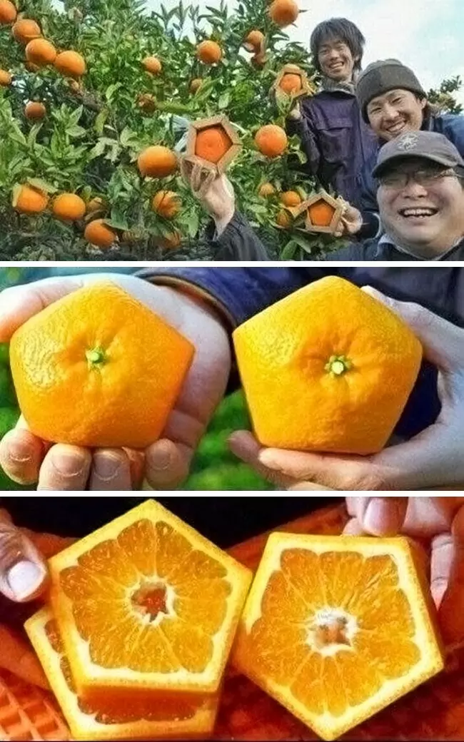 28個日本人可以拿來「吹一輩子」的超創意發明,比腦洞別國絕對比不過他們
