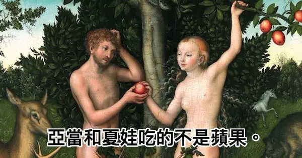 20個「徹底粉碎你過去世界觀」的震驚真相,以為「人類是猴子進化來的」都太天真了!