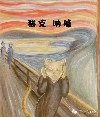 當著貓的面給它鏟屎時,貓在想什麼?