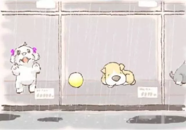 我的世界那麼小,小的只能裝下你(一個老人與狗的故事......)
