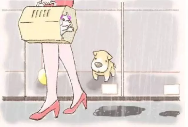 我的世界那麼小,小的只能裝下你(一個老人與狗的故事......)