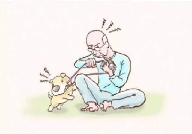 我的世界那麼小,小的只能裝下你(一個老人與狗的故事......)