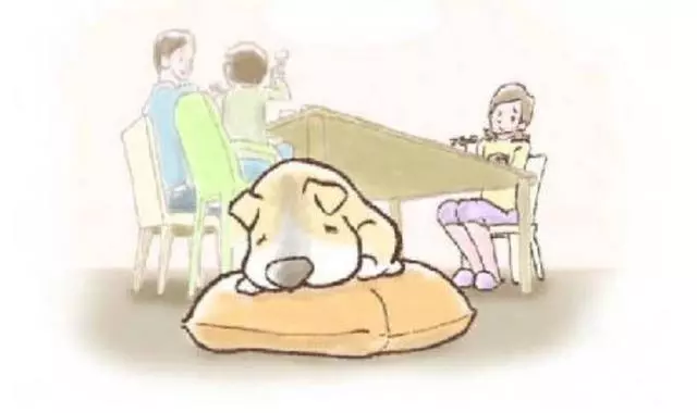 我的世界那麼小,小的只能裝下你(一個老人與狗的故事......)