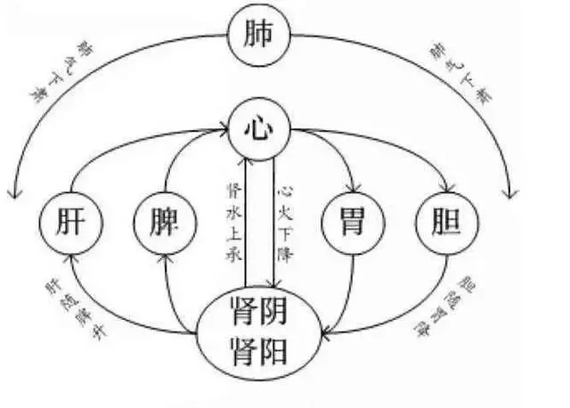 膽經一通,萬病無蹤,一個穴位通肝膽,相關疾病全解決!