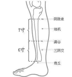 大都、太白、公孫、商丘、三陰交、脾胃經上的除濕熱大穴要勞記