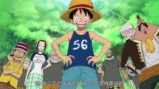 海賊王,草帽團第十一人會從這四人中產生,一位是戰勝凱多的關鍵