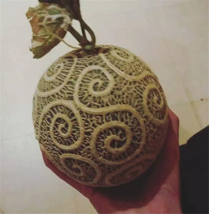海賊王前期垃圾,後期「封神」的五個果實,第1給雷利吃能單虐五老星