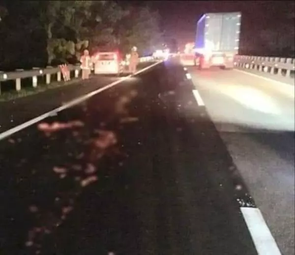 深夜橫越南北大道,不明人士被撞飛後,遭數輛車連環輾過成碎屍!