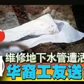 深夜橫越南北大道,不明人士被撞飛後,遭數輛車連環輾過成碎屍!