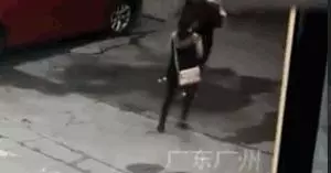 因為老婆懷孕,他把金毛和懷孕的美短從21樓扔下