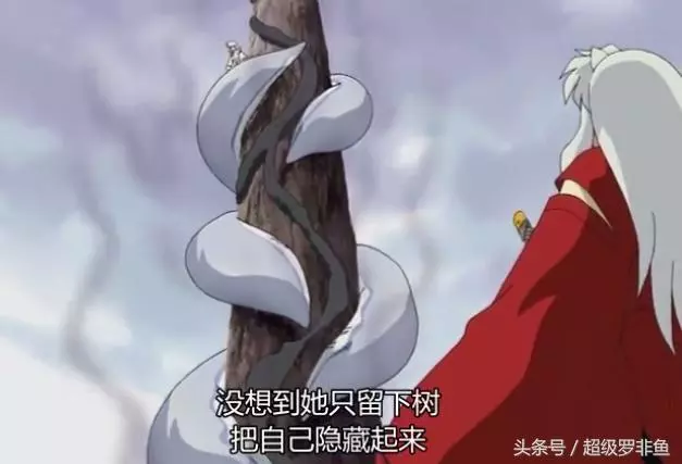 犬夜叉中能力很厲害的十大龍套妖怪，冥王獸防禦最強