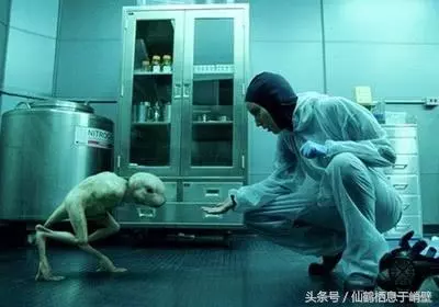 世界史上各國最瘋狂的事,說出來你可能都不信,種族滅絕都是小事