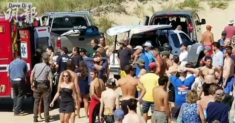 美國海灘罕見事故 男子被鯊咬死