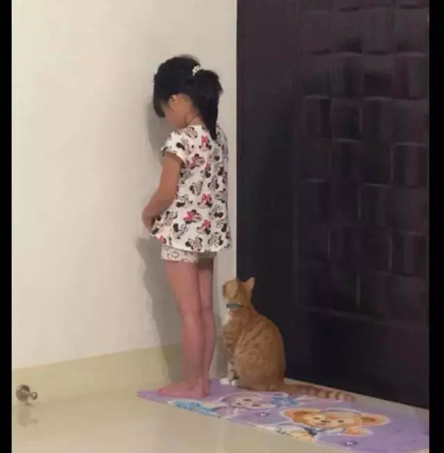 女兒被罰站在牆角反省,貓咪看見後也陪著她一起站著,好有愛!