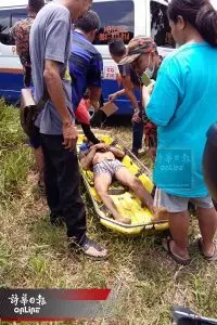 入林采野菜徹夜未歸2男遭蛇噬傷身亡