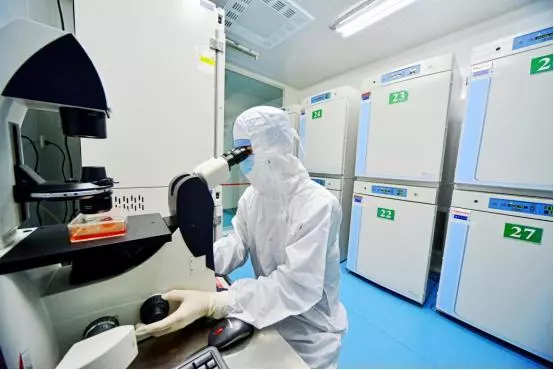 儲存脂肪幹細胞 利用雙基因修飾幹細胞治療糖尿病