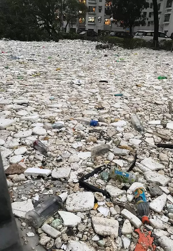 山竹留下海洋垃圾 還給人類的