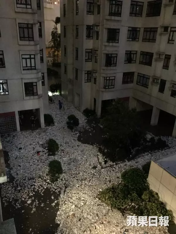 山竹留下海洋垃圾 還給人類的