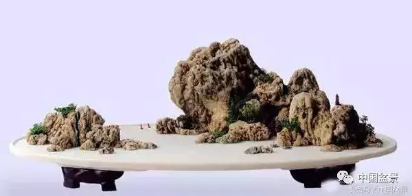 值得收藏的盆景養護常用技法